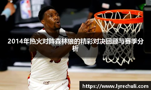 2014年热火对阵森林狼的精彩对决回顾与赛季分析