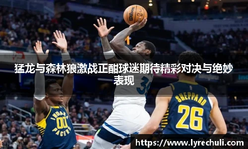 猛龙与森林狼激战正酣球迷期待精彩对决与绝妙表现